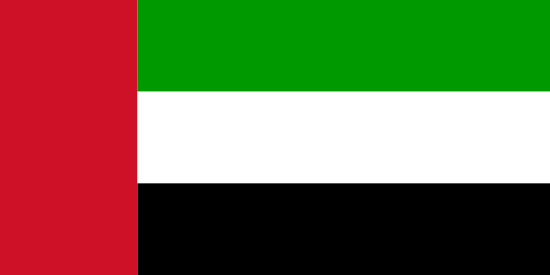 UAE flag